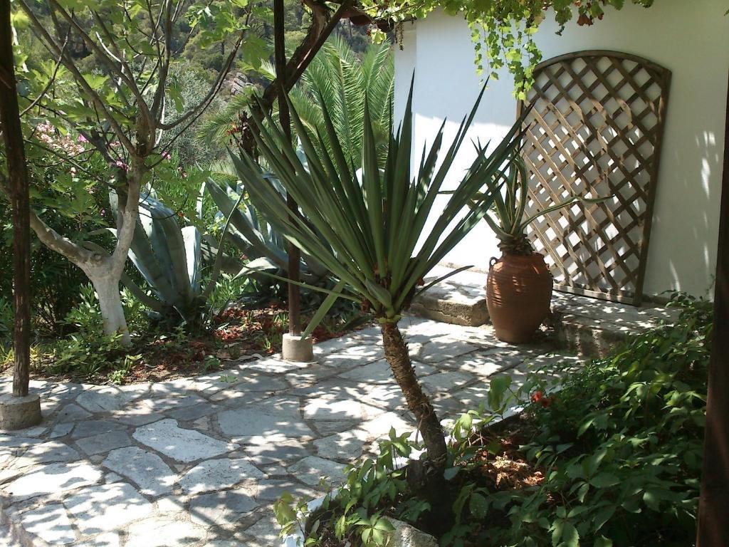 Villa Rena Vourvourou Zimmer foto